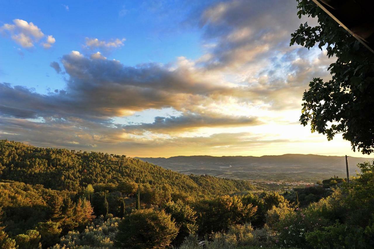 Agriturismo Borgo Mocale Castelfranco di Sopra Buitenkant foto